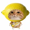 huynhha7635