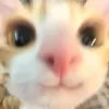 hmizh_06
