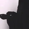 ah_.2os
