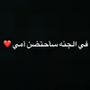 frang478