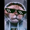 a_lion_87