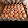 MR Lekker Eggs