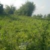userocfsu39ocl