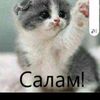 yolumsonu..1