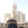 mustafas795