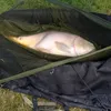 dad_and_lad_fishing
