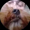 rofu_tm