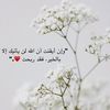 raniaramdan611
