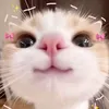 jazminsita_110