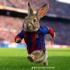 omarhenriquez015