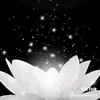 huemi_87