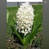 albertohernande5040