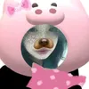 cuadixedapbonbon