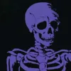 qxiexdimz