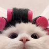 nisaja_13