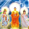 Hạt giống Phật