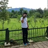 HARDODI