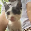 sara.nicolaescu25