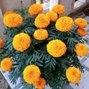 user9m3gq7ookj