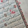ahlamelposhy
