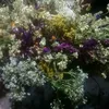 story_kf05
