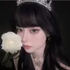 t_a2.4