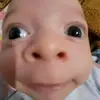 rodolf_o_porquinho