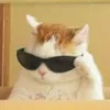 chillrickyy