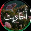 4498ahmadhfh