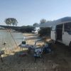 bay_sedat