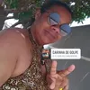 soia_silvaa