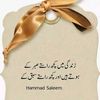 amirshahzid55