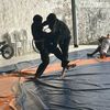 davi_bjj.7