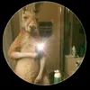 facundofederico56