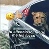 6555555tuttobennee