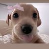 userr._v3ronica