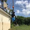 whitemamba.242