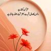 samirehman5522