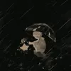 thv2_27