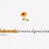 renatacostabarbos