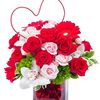 shahshah608