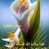 whis8023