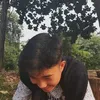 andidaviddanovan