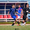ardzo_15