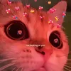 shitblabla__