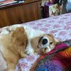 bordeleaupaige