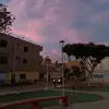 flxvi_rzx