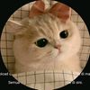 25sherly_tiktok.com