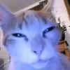 ievsyavwkeuxbsjaudbd