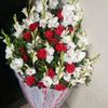 www.sahilsahil437